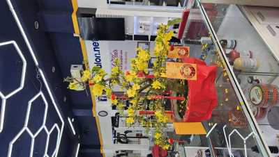 CẦN SANG NHƯỢNG SPA VỊ TRÍ ĐẸP TIỀM NĂNG TẠI Dưới sảnh chung cư HH2C linh đà