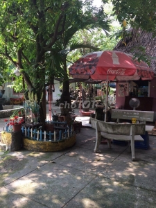 Sang quán Cafe sân vườn có khu chồi võng Tây Nguyên