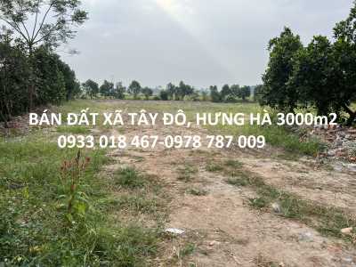 Bán đất thị trấn hưng hà, thái bình 3000m2-6tr/m2-0933 018 467-0978 787 009 