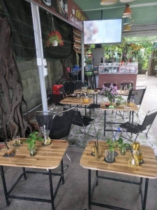 Sang Quán Cafe Võng, Trà Sữa Linh Trung, Thủ Đức