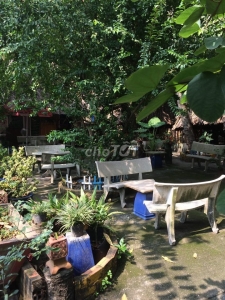 Sang quán Cafe sân vườn có khu chồi võng Tây Nguyên