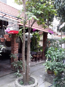 Sang quán cafe sân vườn Q.Liên Chiểu Đà Nẵng1