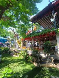 sang quán cafe cá koi bình dương