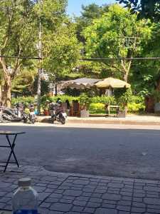 cần sang quán cafe  võng Tân Phú