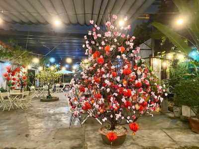 BỎ PHỐ VỀ QUÊ SANG LẠI QUÁN CÀ PHÊ