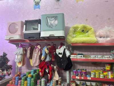 Cần Sang nhượng cửa hàng PET SHOP tại Trung Lực Hải Phòng