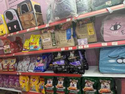 Cần Sang nhượng cửa hàng PET SHOP tại Trung Lực Hải Phòng