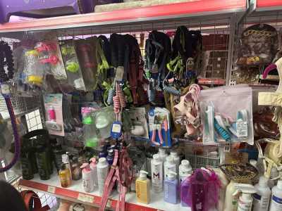 Cần Sang nhượng cửa hàng PET SHOP tại Trung Lực Hải Phòng