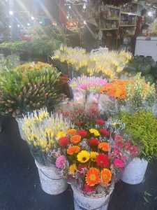 cần sang mặt bằng  bán trái cây chợ vĩnh tân vsip 2 tân uyên bình dương.  