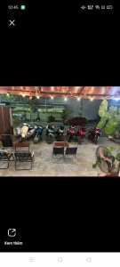 Cần sang quán cà phê Phường 3, TP Tây Ninh, 