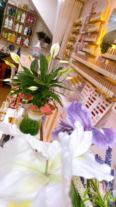 Sang tiệm tại địa chỉ ngõ 105 Doãn kế Thiện Mai Dịch Cầu Giấy Hà Nội