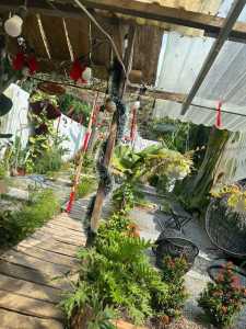 E cần sang quán caffe trà sữa mì cay ở Hưng Thuận Trảng Bàng Tây Ninh  