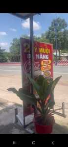 CẦN SANG NHƯỢNG QUÁN TẠI Tổ 5 Trừ Văn Thố Bầu Bàng Bình Dương (củ