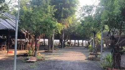 Cần sang quán ăn gia đình view  sông mát mẻ! Tại Thạnh Lộc Quận 12