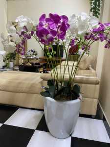 CẦN SANG QUÁN TẠI ĐƯỜNG C2 -  TÂY THẠNH - TÂN PHÚ