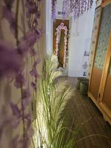 SANG NHƯỢNG GẤP HELLO KITTY SPA - QUẬN 12 