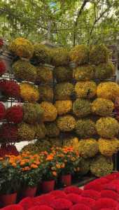 sang nhượng quán cafe mô hình học tập & làm việc siêu hot tại trung tâm phú