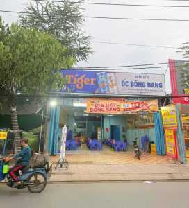 SANG NHƯỢNG GẤP QUÁN GIÁ SIÊU HỜI