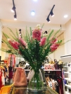 Sang shop thời trang nữ sầm uất ngay tại Nha Trang Khánh Khoà