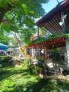sang quán cafe cá koi bình dương