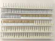 mình cần sang gấp tiệm nail - mi - gội ds đang kinh doanh ổn định