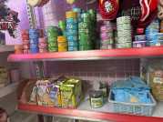 Cần Sang nhượng cửa hàng PET SHOP tại Trung Lực Hải Phòng