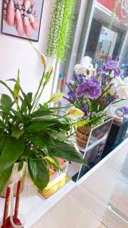 Sang tiệm tại địa chỉ ngõ 105 Doãn kế Thiện Mai Dịch Cầu Giấy Hà Nội