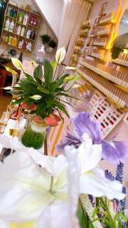 Sang tiệm tại địa chỉ ngõ 105 Doãn kế Thiện Mai Dịch Cầu Giấy Hà Nội