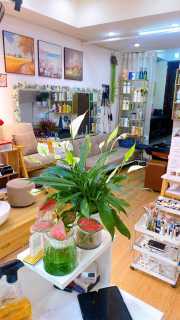 Sang tiệm tại địa chỉ ngõ 105 Doãn kế Thiện Mai Dịch Cầu Giấy Hà Nội