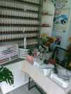CẦN SANG TIỆM NAIL- SPA TẠI CHỢ ĐÊM LINH TRUNG 2 THỦ ĐỨC.