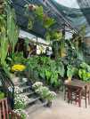 SANG NHƯỢNG QUÁN CÀ PHÊ -  HOME VIEW TẠI ĐÀ LẠT