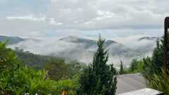 SANG NHƯỢNG QUÁN CÀ PHÊ -  HOME VIEW TẠI ĐÀ LẠT