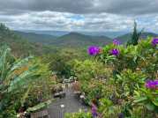 SANG NHƯỢNG QUÁN CÀ PHÊ -  HOME VIEW TẠI ĐÀ LẠT